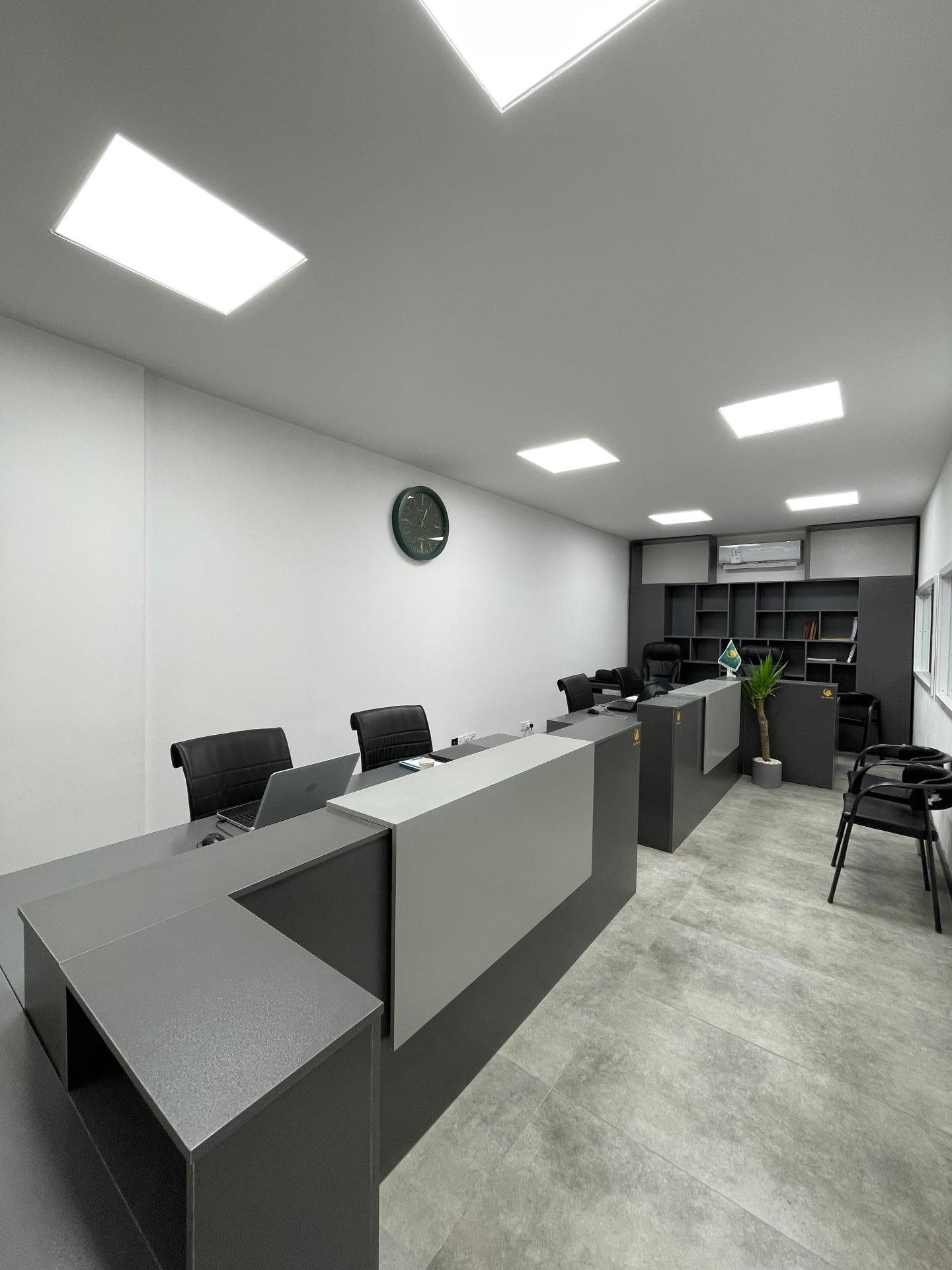 عکس پایه ساز رویای من