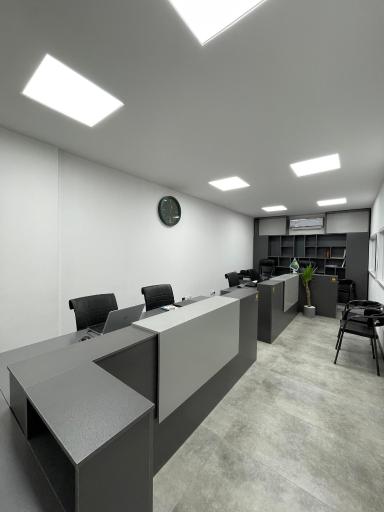 پایه ساز رویای من