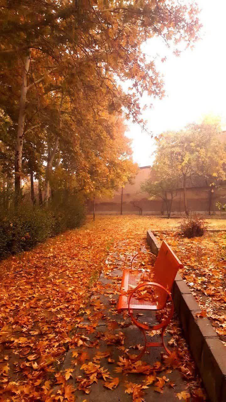 عکس دانشکده هنر و معماری دانشگاه بوعلی سینا