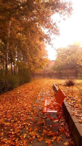 عکس دانشکده هنر و معماری دانشگاه بوعلی سینا