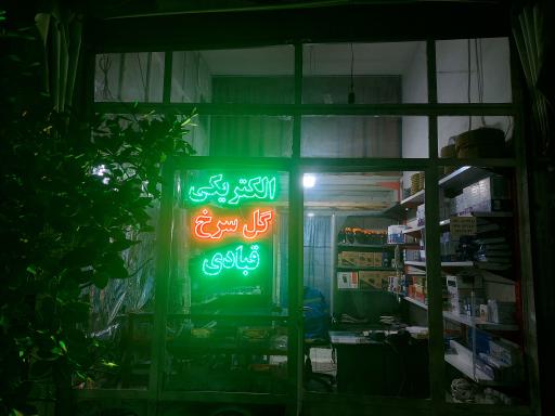 عکس الکتریکی گل سرخ 