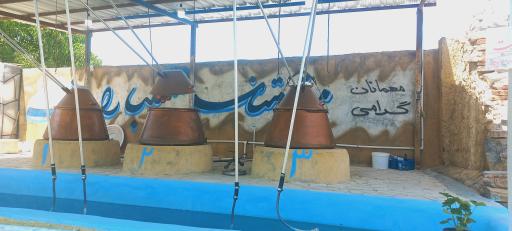 عکس کارگاه گلاب گیری برادران نظری 