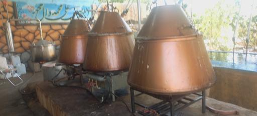 عکس کارگاه گلاب گیری برادران نظری 