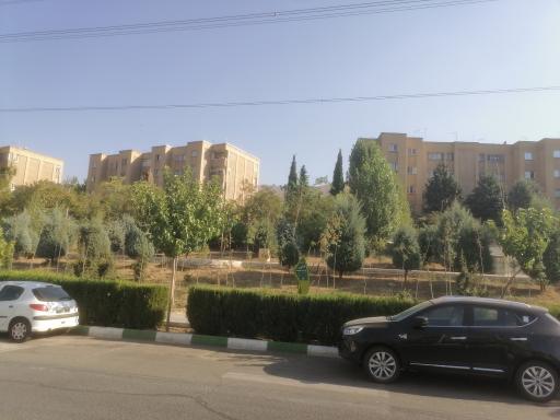 عکس بوستان صنوبر