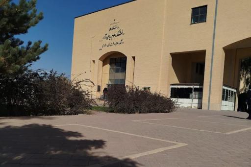 دانشگاه ملایر
