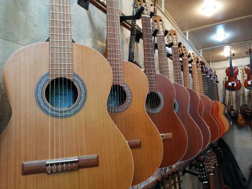 عکس موسیقی نغمه چنگ 