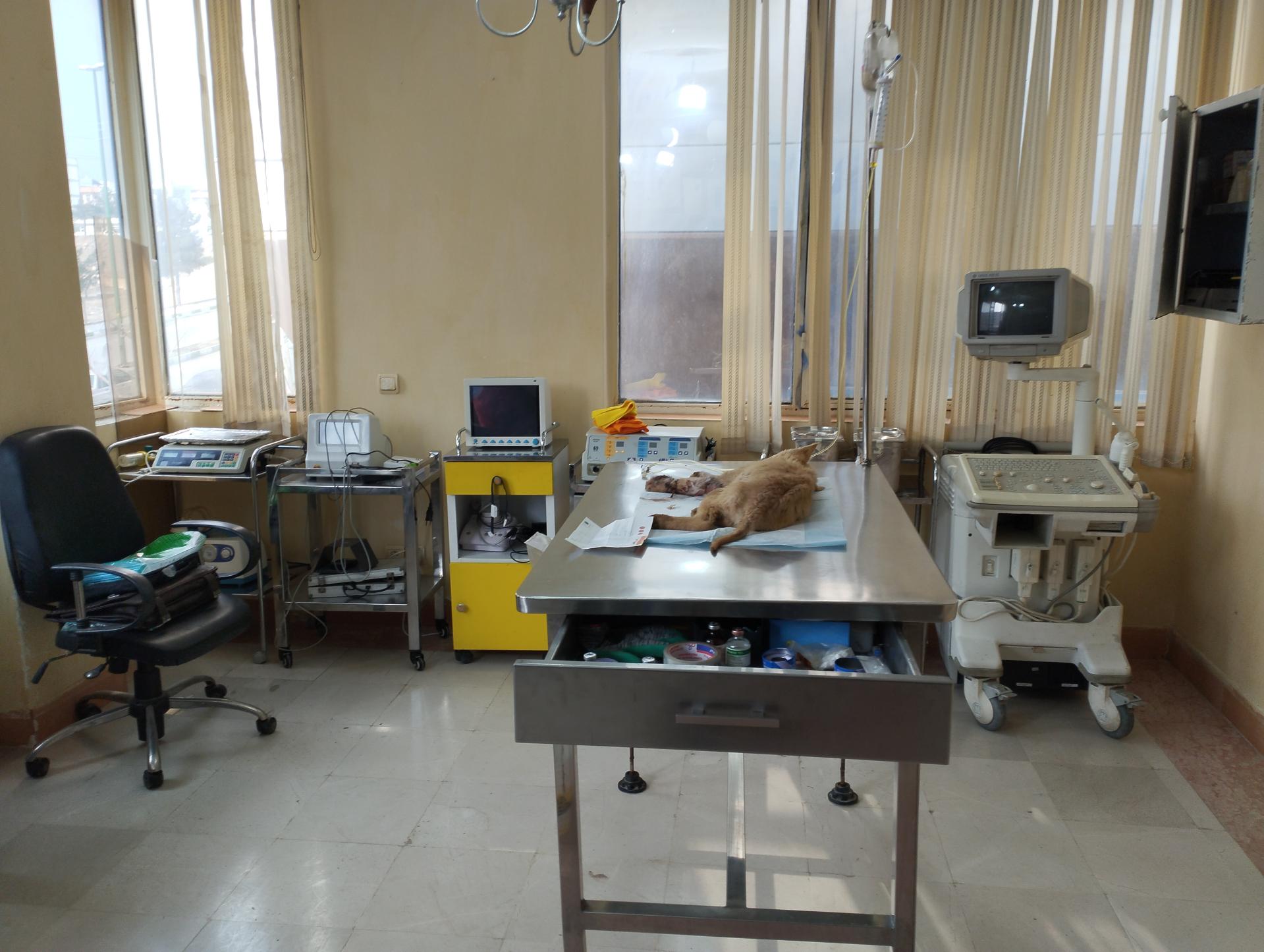 عکس کلینیک و پت شاپ مهستان (دکتر دنیافر)