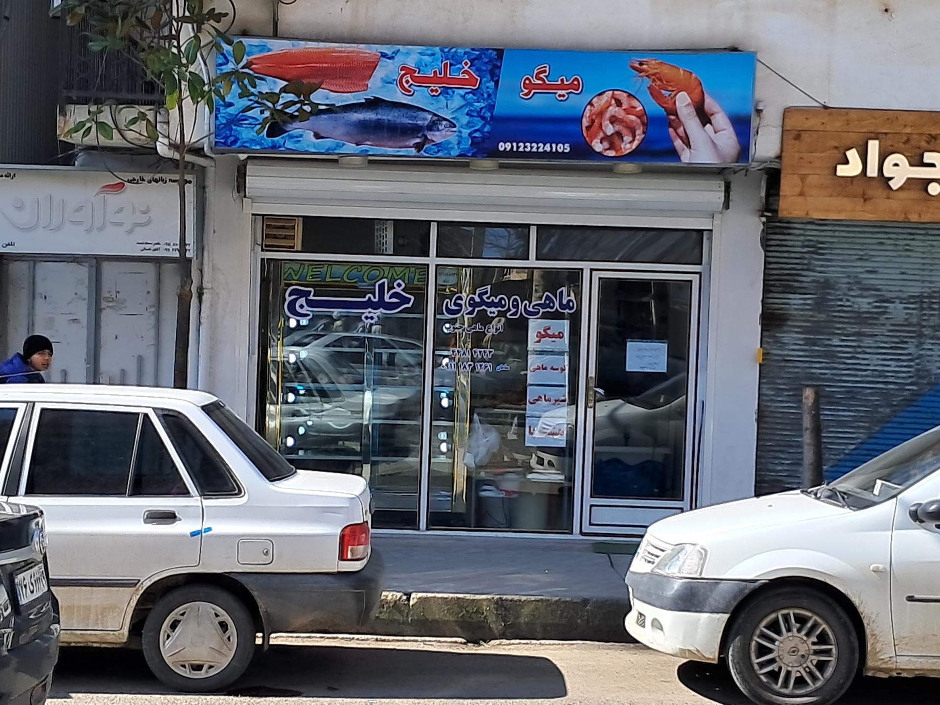 عکس ماهی و میگوی خلیج