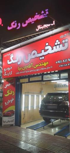 عکس تشخیص رنگ کارنگ (مهندس آقا جان نیا)