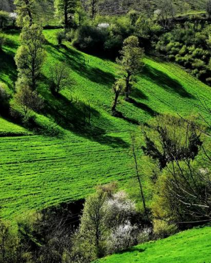 عکس ولاغوز