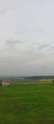 عکس ولاغوز