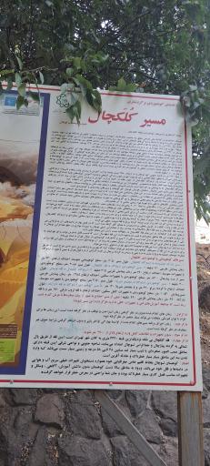 عکس چشمه فین علی 