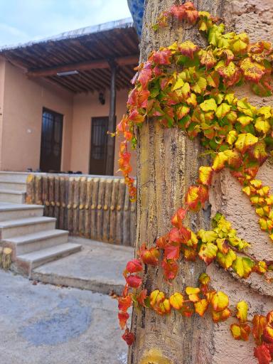 عکس اقامتگاه بومگردی رئیس سی سخت