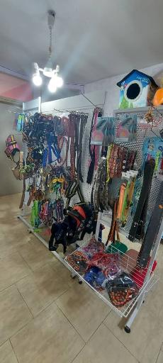 عکس کلینیک و پت شاپ مهستان (دکتر دنیافر)