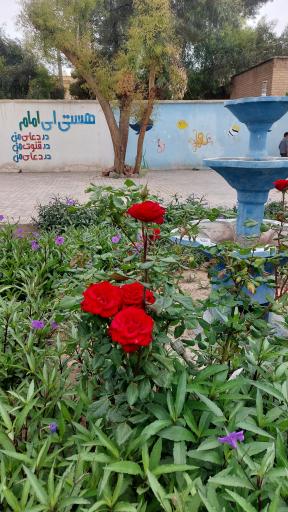 عکس پیش دبستانی و دبستان پسرانه فضیلت 