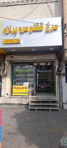 عکس مرغ فروشی ققنوس پران