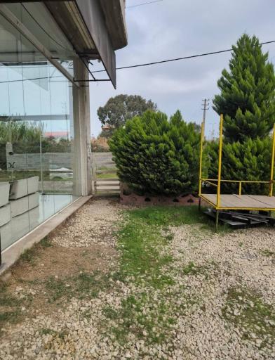 عکس غذای محلی ناز خاتون