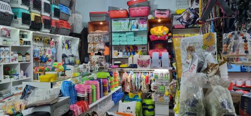 عکس پت شاپ ساوه