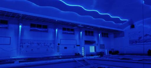 عکس استخر شهدای فرهنگیان