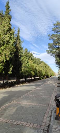 شهربازی کاجستان