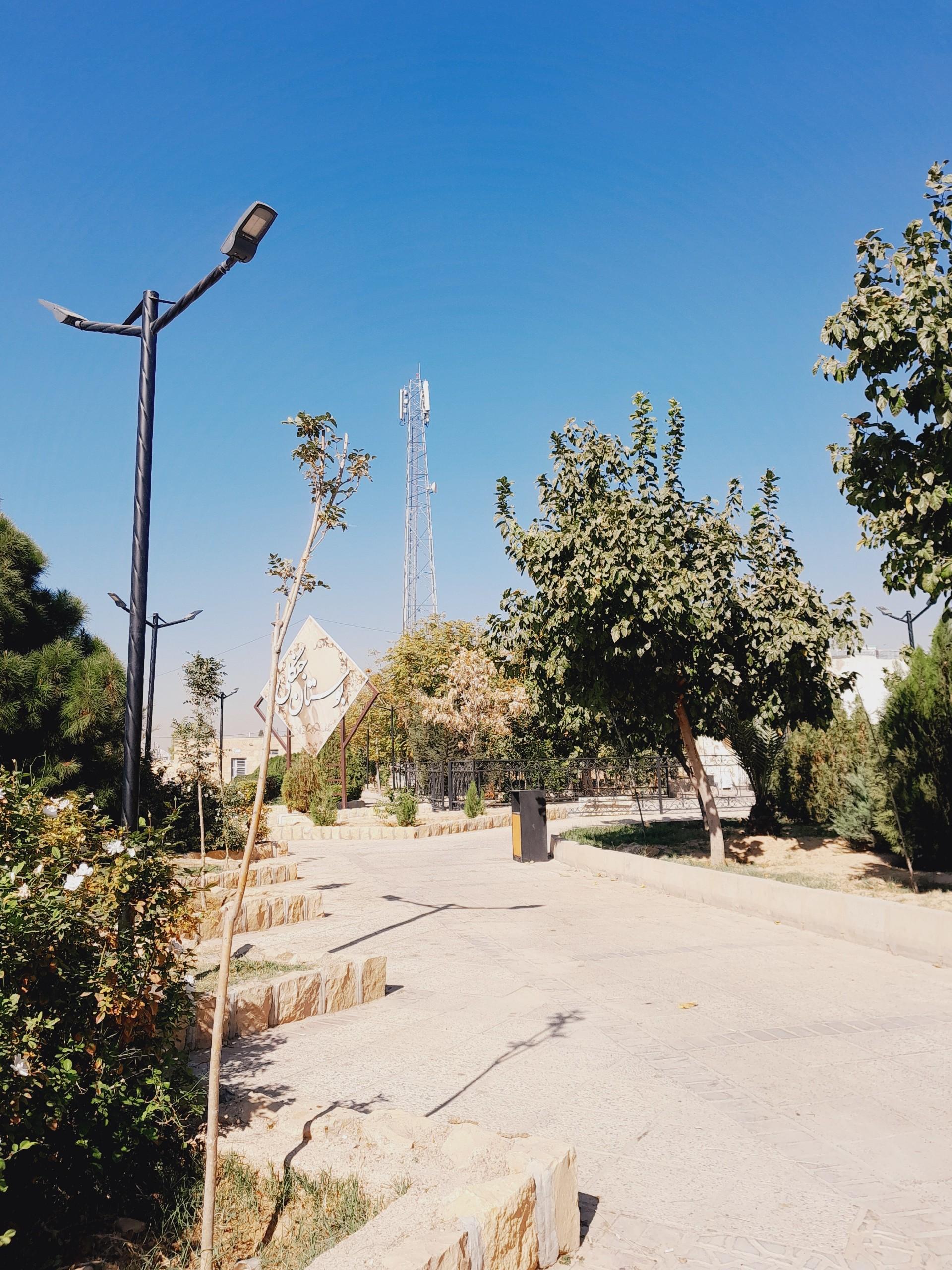 عکس بوستان جنگلی 