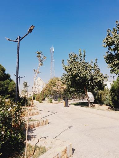 عکس بوستان جنگلی 