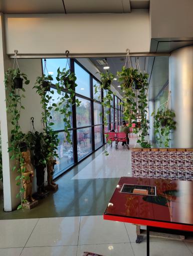 عکس کافه و فست فود فرشید