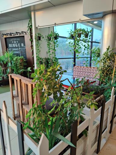 عکس کافه و فست فود فرشید