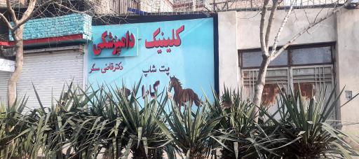 کلینیک دامپزشکی دکتر قاضی عسگر