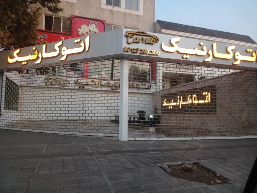 اتو گالری کارنیک