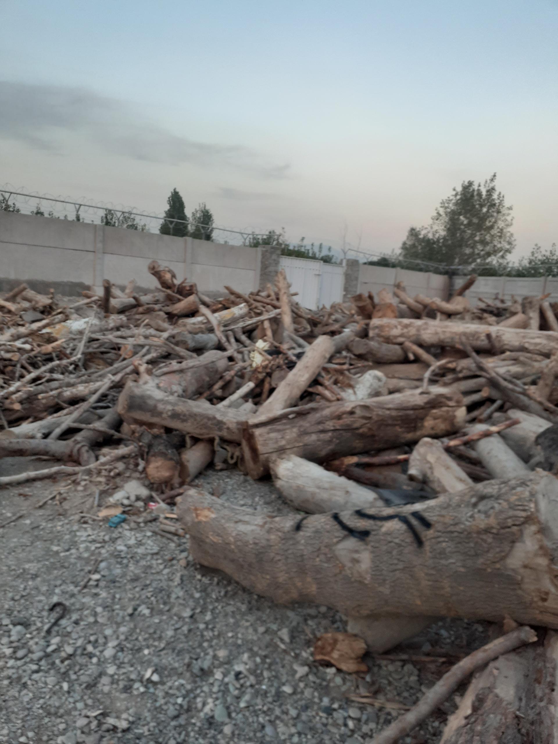 عکس صنایع چوب داودی