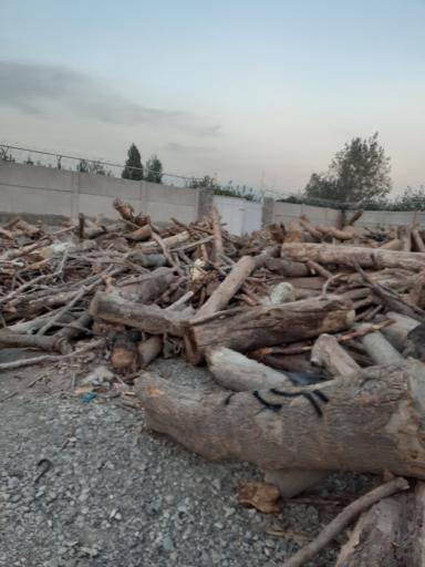 عکس صنایع چوب داودی