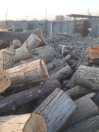 عکس صنایع چوب داودی