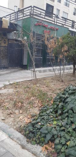 عکس سرویس بهداشتی