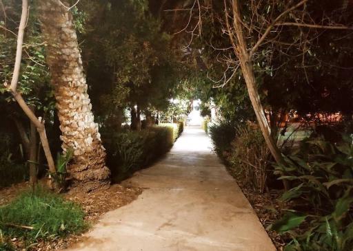 عکس پارک کودک (باغ نظر)