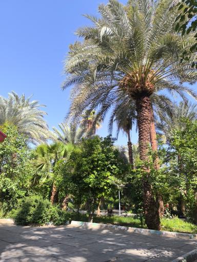 عکس پارک کودک (باغ نظر)