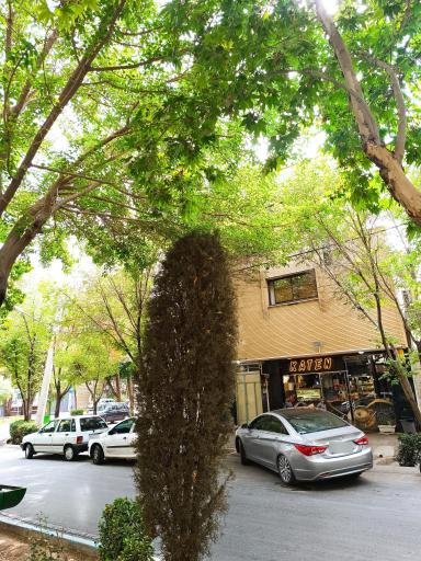 عکس قهوه کاتن KATEN