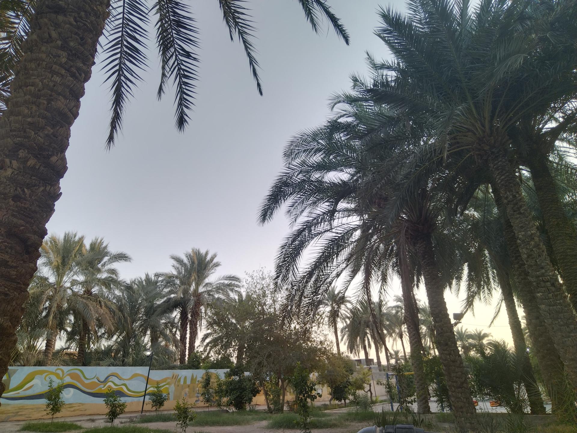 عکس پارک کودک (باغ نظر)