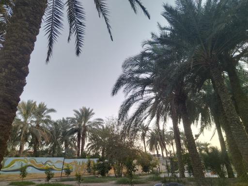 عکس پارک کودک (باغ نظر)