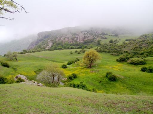 عکس بشکافته سنگ