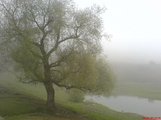 عکس بشکافته سنگ
