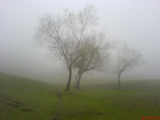 عکس بشکافته سنگ