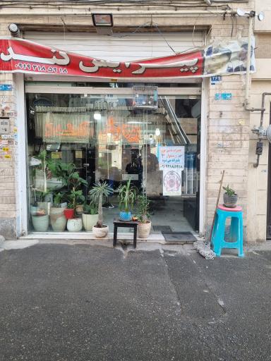 عکس پیرایش کندو