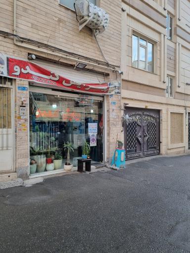 عکس پیرایش کندو