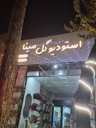 عکس استودیو گل مینا 
