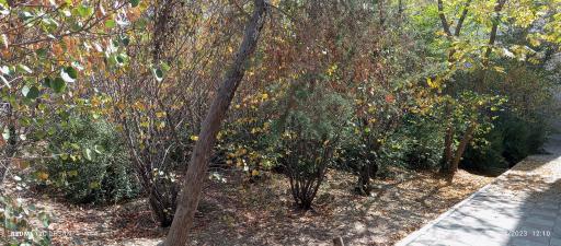 عکس بوستان شهید حمیدرضا نظام