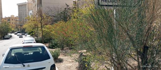 عکس بوستان شهید حمیدرضا نظام