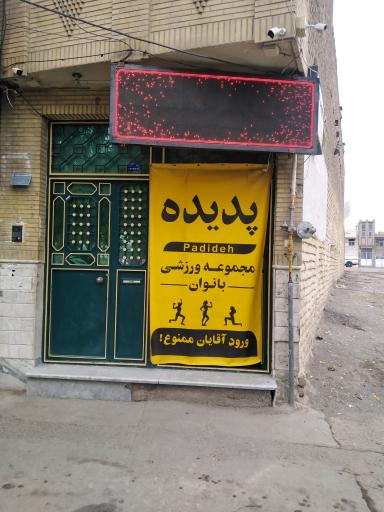 عکس باشگاه بدنسازی پدیده