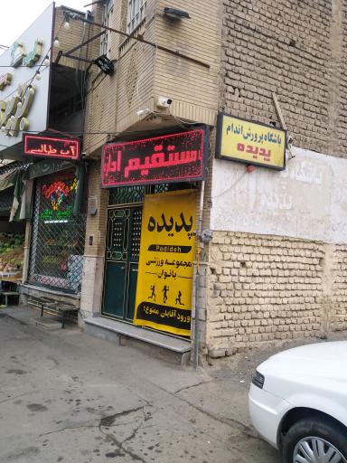 عکس باشگاه بدنسازی پدیده