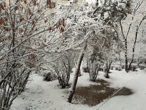 عکس بوستان شهید حمیدرضا نظام